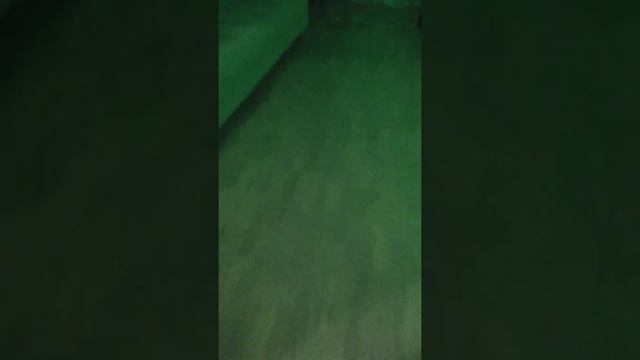 обзор на несколько машин и маленький подарок смотреть онлайн