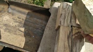 Шпальт березы.Два года в погребе.