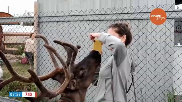 Шоп-тур в Кыштым.1. смотреть онлайн