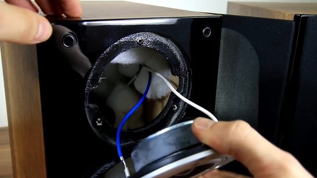 Look inside Dali Zensor 1 bookshelf speakers - What's Inside? смотреть онлайн