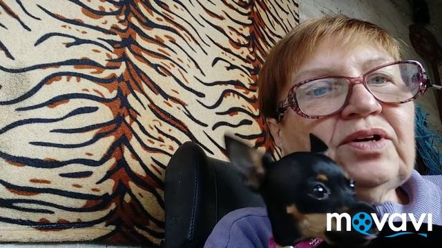 Как раньше жили без интернета...Мысли одолели! смотреть онлайн
