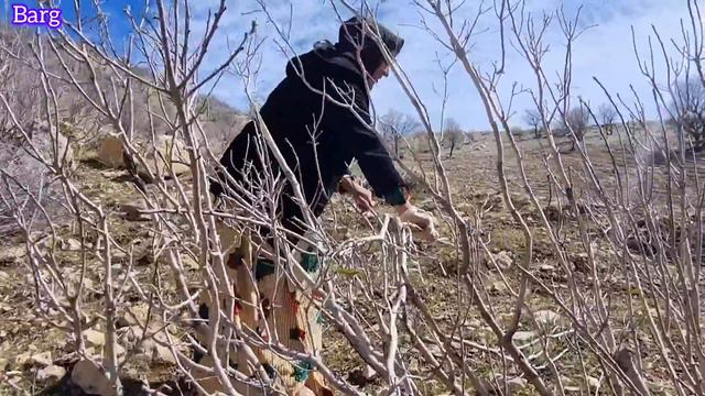 Nomadic Life: Completing the beautiful fireplace by Zari and warming the cave room смотреть онлайн