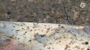 Полуавтомат Кайзер 305 варим без газа ( проволока с флюсом).