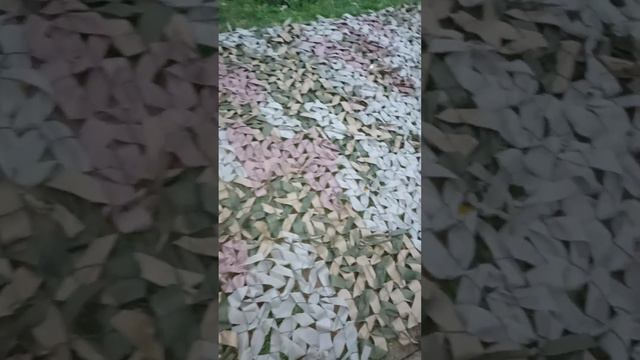 Наши девочки стараются!! смотреть онлайн