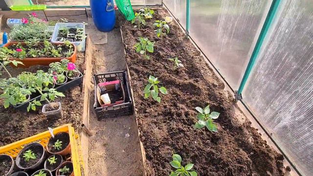 Работа идет полным ходом. Родители приехали на помощь. Жизнь в деревне смотреть онлайн