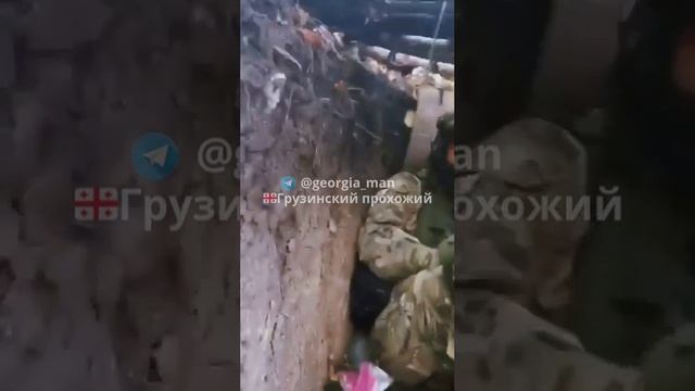 Придет в окоп по грузинскому легиону смотреть онлайн
