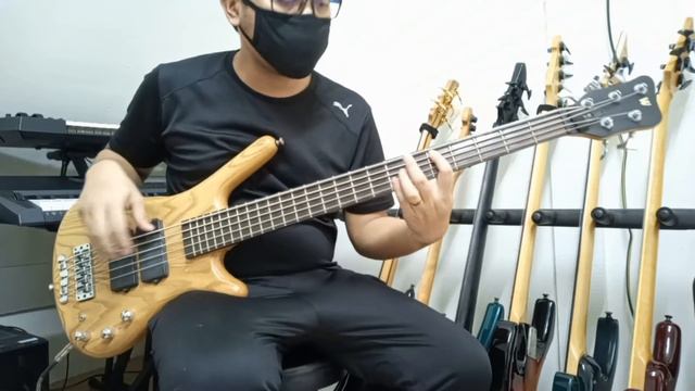 Warwick Rockbass Corvette $$ 5 String Bass смотреть онлайн