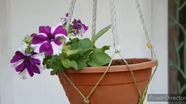 vaikundam house farm смотреть онлайн