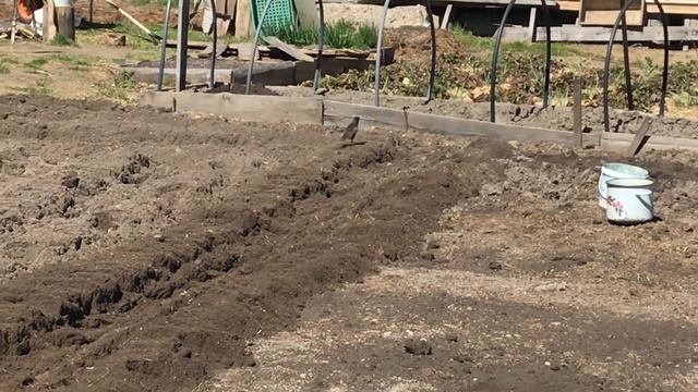 Пашем огород Крот Ом. смотреть онлайн