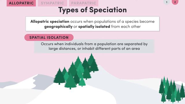 Y11-12 Biology: Speciation смотреть онлайн