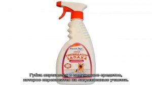 Как избавиться от запаха собачьей мочи в квартире