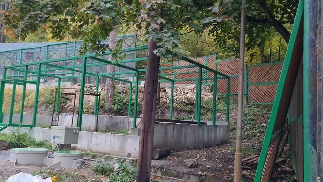 Зоокъта в Шумен в дългогодишен ремонт смотреть онлайн