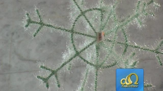 [ТВ] Серия программ "Альфа и Омега". Выпуск № 1 - Человек. смотреть онлайн