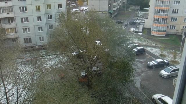 Копорский чай. Вкусный и полезный! Маленькая хитрость о лавровом листе.