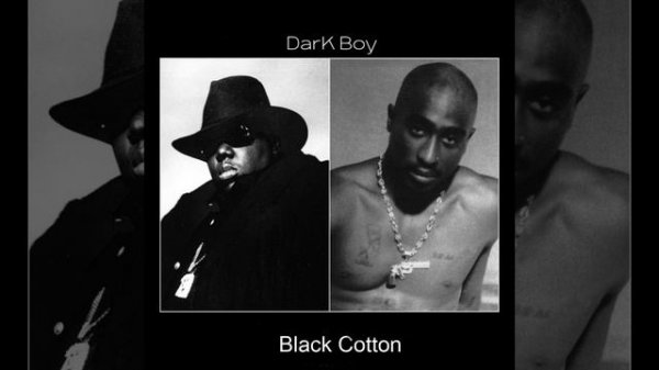 Black Cotton
