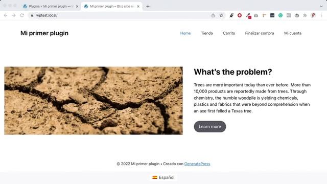 ? Crea tu PROPIO PLUGIN de funciones [Wordpress] смотреть онлайн