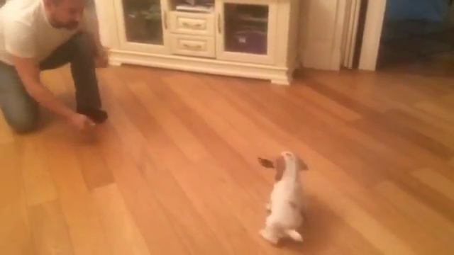 24 марта 2016 г. смотреть онлайн