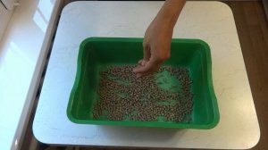 Наполнитель для кошачьего туалета. Лучший бюджетный вариант - древесные гранулы для лотка кошки