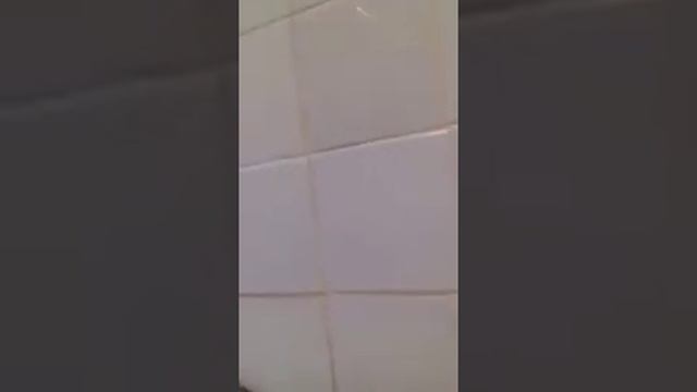 Что будет если в кипеяёное масло прыснуть обычной водой смотреть онлайн