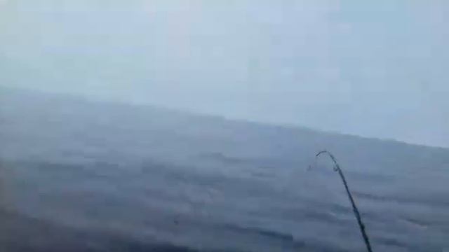 Рыбалка Сахалин смотреть онлайн