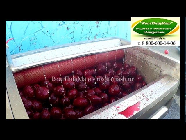 Обзор чистки свеклы ЖЕСТКИМИ щетками на GB-1000 от РостПищМаш смотреть онлайн