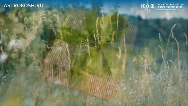 16+ Подарки для зодиакальных Раков смотреть онлайн