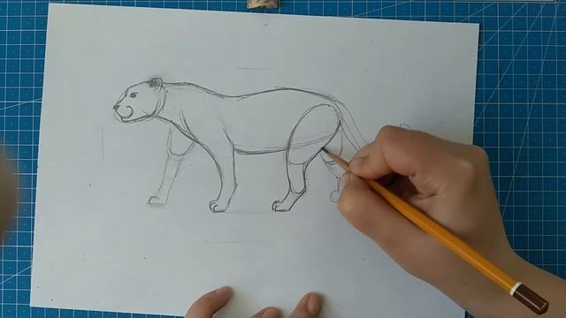 рисуем животных поэтапно(леопард) смотреть онлайн