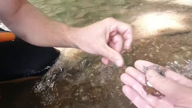 Minelab Equinox 800 Metal Detecting Lost Boys Recovery Creek Digging And Relic Hunting! Part 1 Dig!