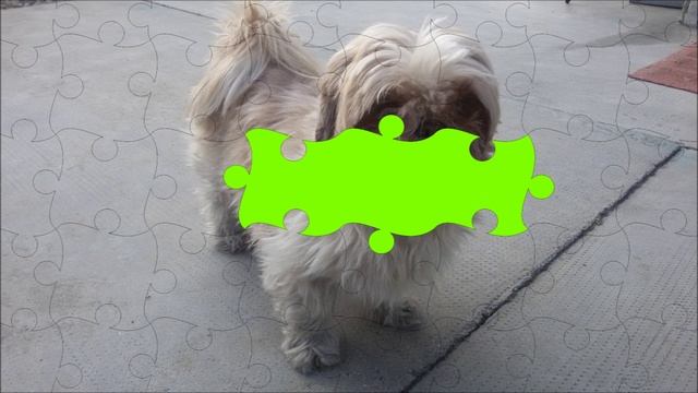 Animated Puzzles 15; Puzzle animato (Animals). смотреть онлайн