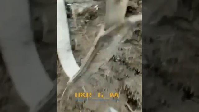 Стрелковый бой под Бахмутом? Взгляд с той стороны смотреть онлайн