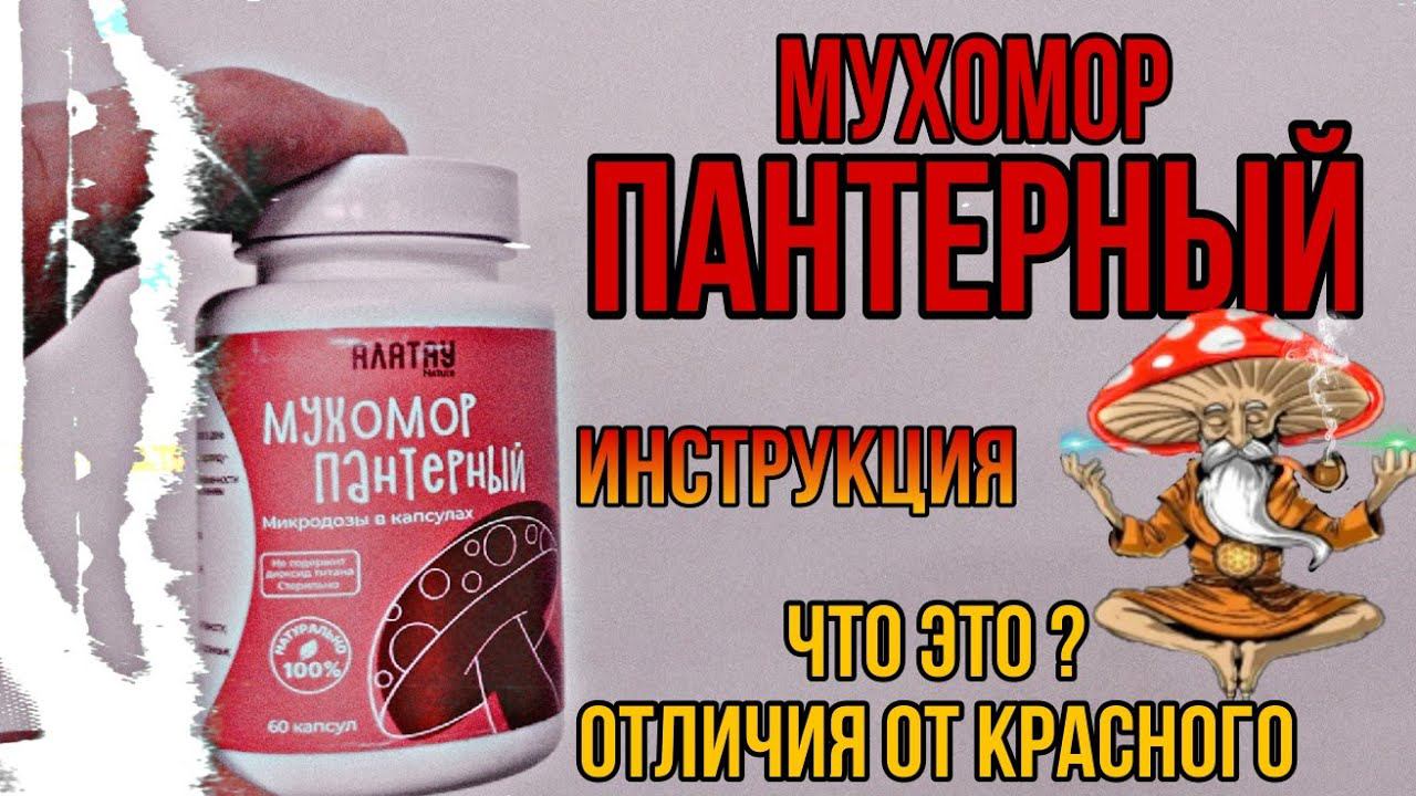 Про грибы Мухомор Пантерный сушёный. Как принимать курс микродозинг. Эффекты побочные свойства смотреть онлайн