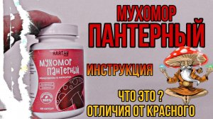 Про грибы Мухомор Пантерный сушёный. Как принимать курс микродозинг. Эффекты побочные свойства