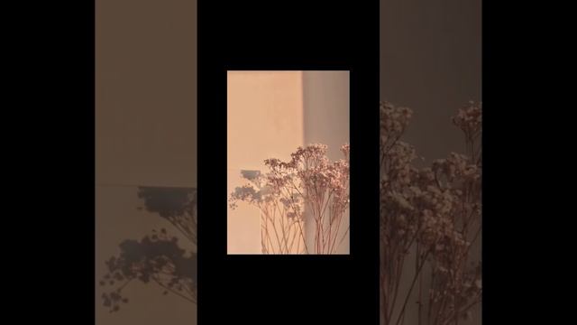 обои на телефон ( летние) смотреть онлайн