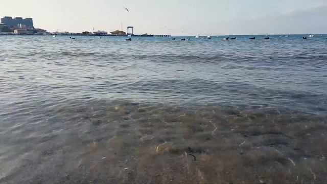 Анапа. Черное Море. Погода 26.01.2018 Anapa. Black Sea. Weather смотреть онлайн