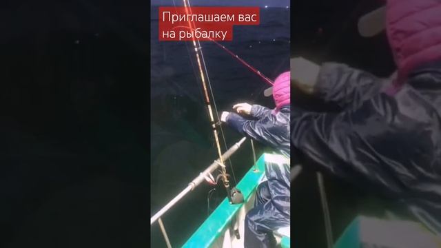 Уссурийск ул арсеньева 1,2этаж 89245246006 #морскаярыбалка #ловимкальмар #рыбалка #снасти смотреть онлайн