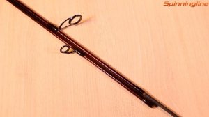 Спиннинг Zemex Aurora