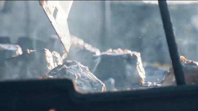 Порода бычков для деликатесной мраморной говядины смотреть онлайн