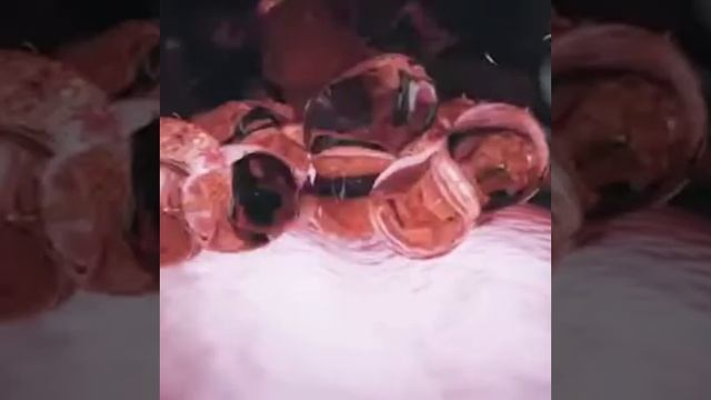 Функция слюнных желёз наглядно смотреть онлайн