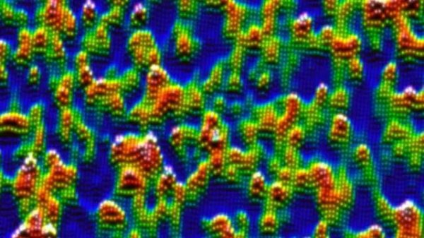 Honey Claws - Digital Animal