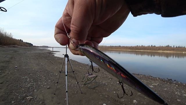 Спиннинг с берега на Оби в середине октября 2022 смотреть онлайн