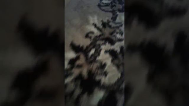 Кети Нуар уежает 2 часть смотреть онлайн