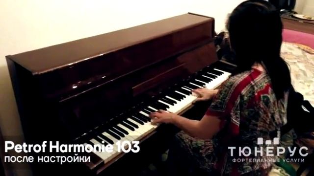 Настройка пианино до и после Petrof Harmonie 103