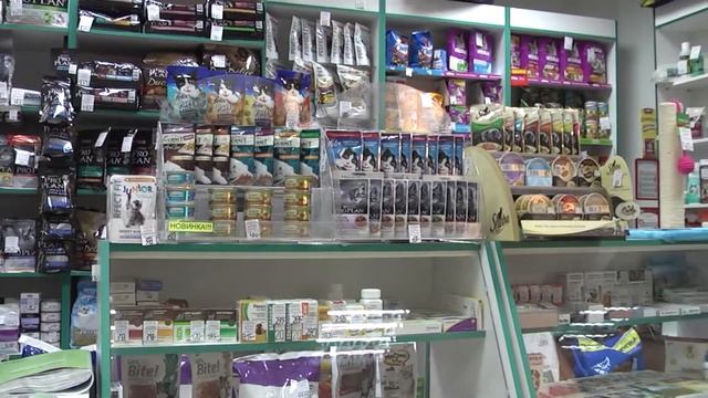 г. Рыбинск "Жажда крови + основной инстинкт" смотреть онлайн