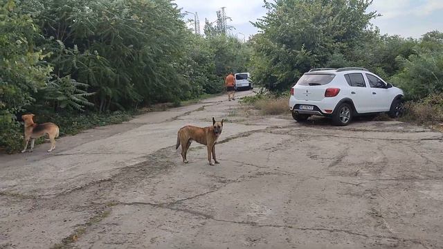 Днепр 😉 Где можно порыбачить на мужчин!!! смотреть онлайн