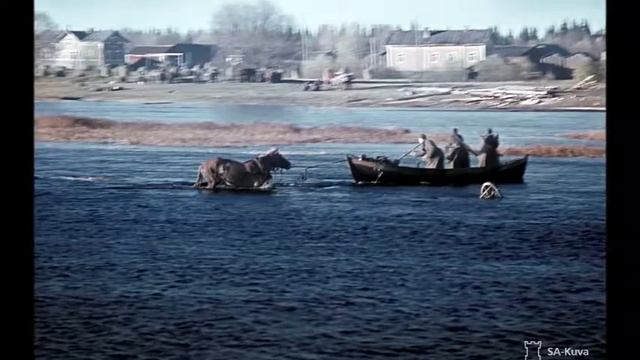 Sylvia Rossi, Lotta, Talvisota