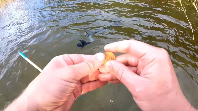 ЭТО ЗВИЗДЕЦ!!! Такого я еще не находил... глазам не верил что в воде такое можно найти! смотреть онлайн