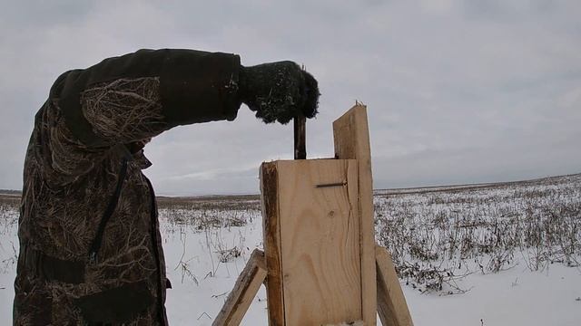 Привада на ЛИСУ.Охота с Лабаза.Хитрая Лиса на приваде. смотреть онлайн