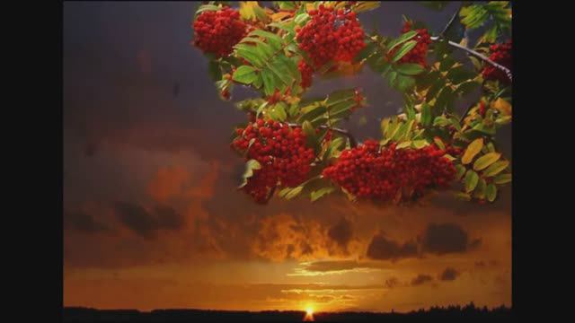 Август. Марина Цветаева. смотреть онлайн