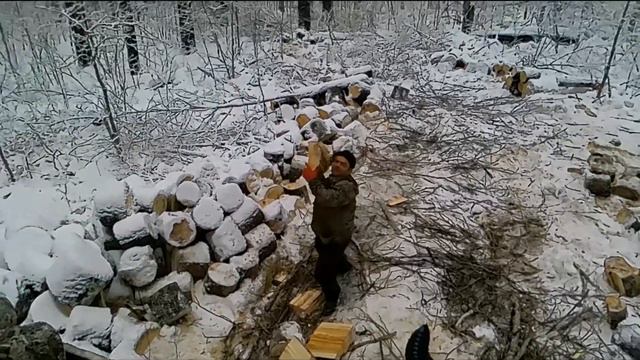 Пилим колим, или колем, вывозим, не знаю, но как то так, 2 часть смотреть онлайн