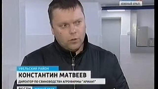 Челябинская область. Свиноводство. ''Ариант''. Станция искусственного осеменения. Декабрь 2013